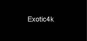Exotic4k_logo
